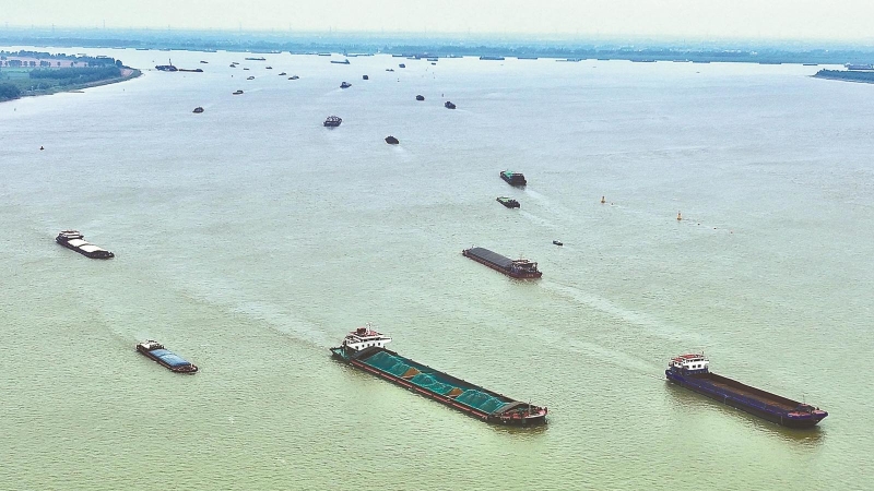 聚力“双招双引”提升开放能级