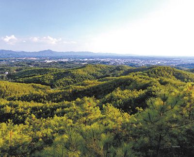 人民日報看福建