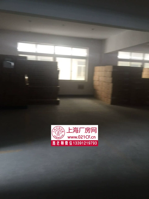 xjb0408嘉兴秀洲区王店5000平厂房仓库出租1600平起租