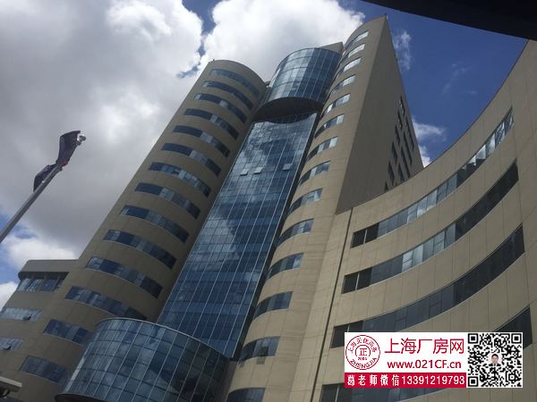g1667 宝钢浦东国贸大厦 商务办公研发展示楼出租  小面积可分割