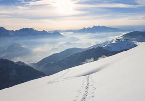 2025年德州市市级工业重点技改项目名单