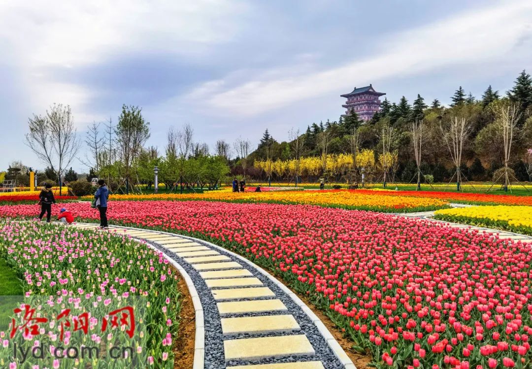 洛阳蕞新规划出炉！涉及老城、洛龙、伊滨…