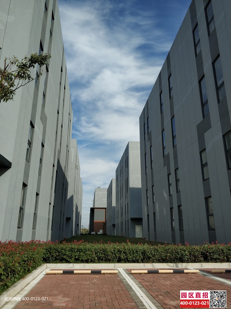 g2842 【开发商直租】松江新桥申港路3255号国家级开发区带装修研发厂房出租 拎包入住 610平起租 金地威新产业园