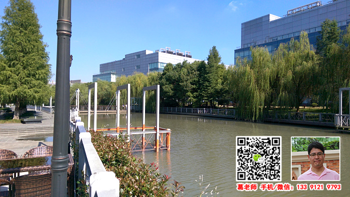 g1618闵行 紫竹高新区数码港一楼390平 楼上各种面积 实验室办公楼研发中心出租