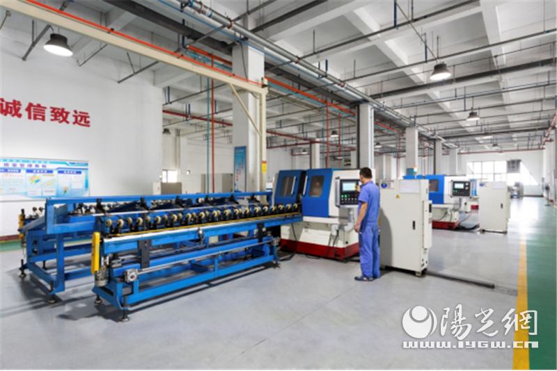 空港新城 激活创新“生命力” 实现高质量发展