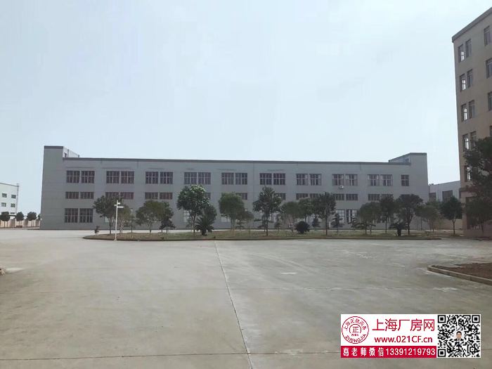 g1767 金山枫泾镇建安路双层厂房仓库出租 1000平起租  104地块可环评 无税收要求